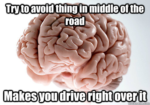 Try to avoid thing in middle of the road Makes you drive right over it   Scumbag Brain