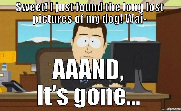 SWEET! I JUST FOUND THE LONG LOST PICTURES OF MY DOG! WAI- AAAND, IT'S GONE... aaaand its gone