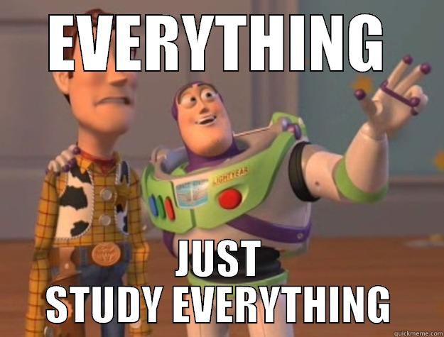 EVERYTHING JUST STUDY EVERYTHING Toy Story