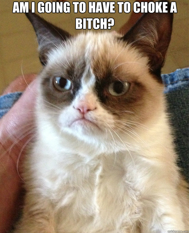 Am I going to have to choke a bitch?   Grumpy Cat