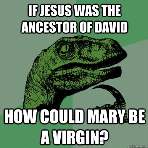 If jesus was the ancestor of david How could mary be a virgin? - If jesus was the ancestor of david How could mary be a virgin?  Philosoraptor