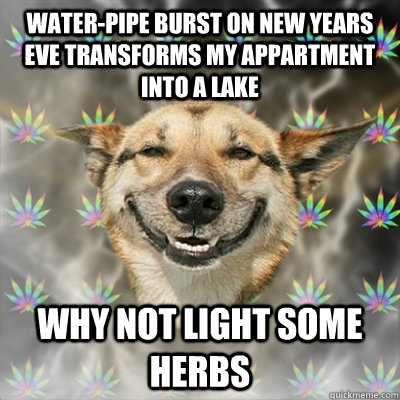 water-pipe burst on new years eve transforms my appartment into a lake why not light some herbs  Stoner Dog