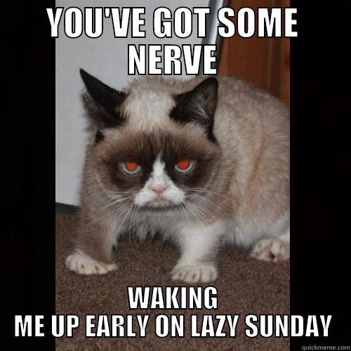 YOU'VE GOT SOME NERVE WAKING ME UP EARLY ON LAZY SUNDAY Misc