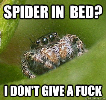 Spider in  bed? I Don't Give A Fuck  Misunderstood Spider