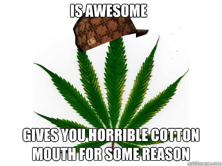 Is awesome Gives you horrible cotton mouth fOR SOME REASON  Scumbag Marijuana