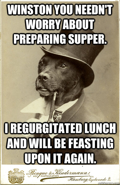 Winston you needn't worry about preparing supper. I regurgitated lunch and will be feasting upon it again. - Winston you needn't worry about preparing supper. I regurgitated lunch and will be feasting upon it again.  Old Money Dog