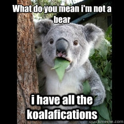 What do you mean i'm not a bear i have all the koalafications  