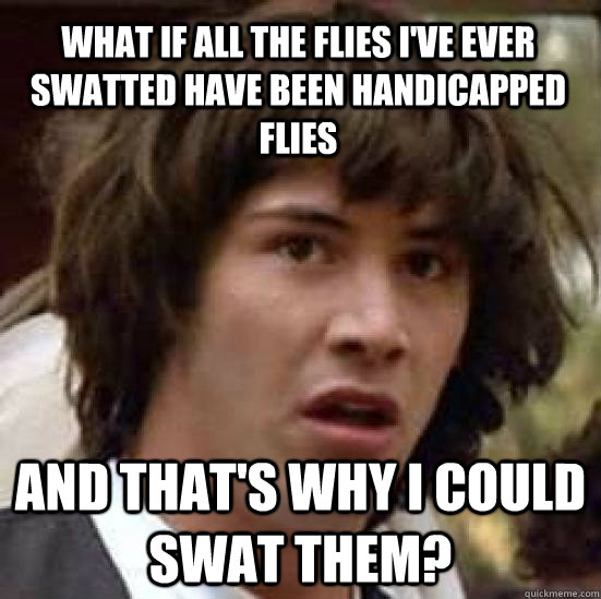 What if all the flies I've ever swatted have been handicapped flies and that's why I could swat them? - What if all the flies I've ever swatted have been handicapped flies and that's why I could swat them?  conspiracy keanu