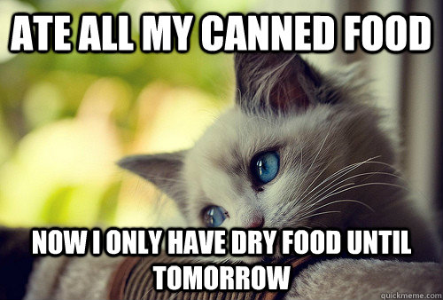 Ate all my canned food Now I only have dry food until tomorrow  First World Problems Cat