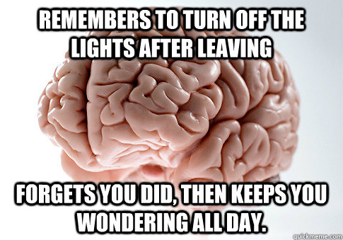 REMEMBERS TO TURN OFF THE LIGHTS AFTER LEAVING FORGETS YOU DID, THEN KEEPS YOU WONDERING ALL DAY.  Scumbag Brain