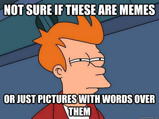 Not sure if these are memes Or just pictures with words over them  Futurama Fry