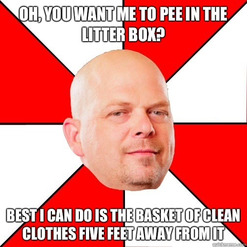 Oh, you want me to pee in the litter box? Best I can do is the basket of clean clothes five feet away from it - Oh, you want me to pee in the litter box? Best I can do is the basket of clean clothes five feet away from it  Pawn Star