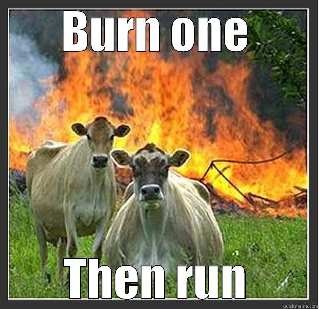 BURN ONE THEN RUN Evil cows