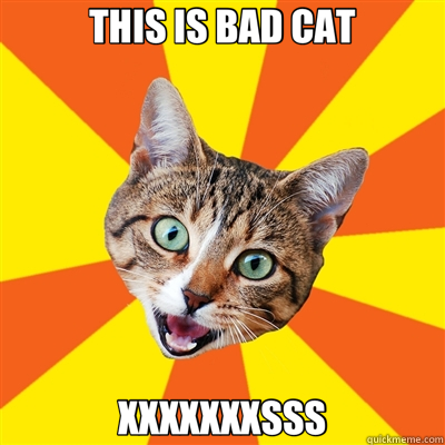 THIS IS BAD CAT XXXXXXXSSS  Bad Advice Cat