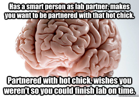 Has a smart person as lab partner, makes you want to be partnered with that hot chick. Partnered with hot chick, wishes you weren't so you could finish lab on time.   Scumbag Brain