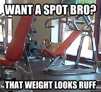 Want a spot bro? That weight looks ruff  