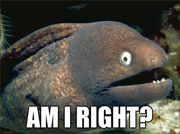  am i right?  Bad Joke Eel