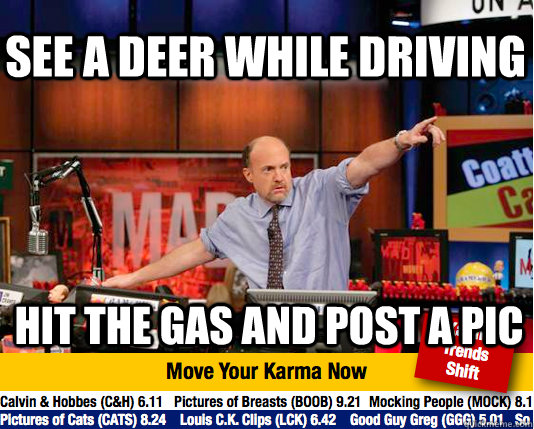 see a deer while driving hit the gas and post a pic  Mad Karma with Jim Cramer