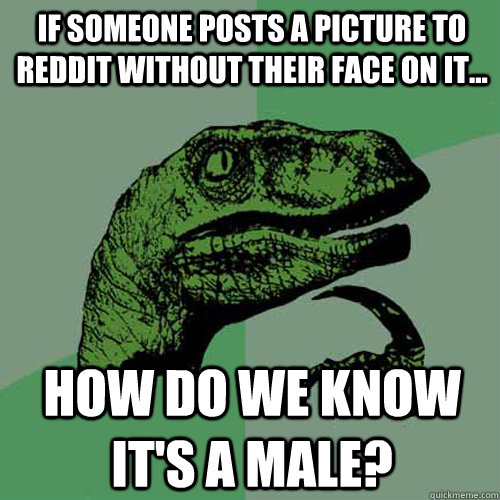 If someone posts a picture to reddit without their face on it... how do we know it's a male? - If someone posts a picture to reddit without their face on it... how do we know it's a male?  Philosoraptor