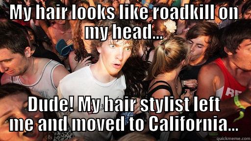 Roadkill hair wig - MY HAIR LOOKS LIKE ROADKILL ON MY HEAD... DUDE! MY HAIR STYLIST LEFT ME AND MOVED TO CALIFORNIA... Sudden Clarity Clarence