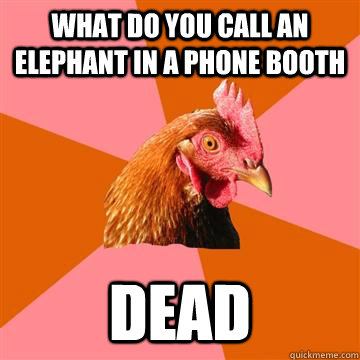 what do you call an elephant in a phone booth  DEAD  Anti-Joke Chicken