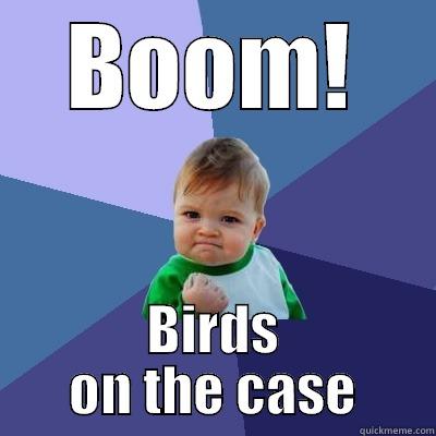 BOOM! BIRDS ON THE CASE Success Kid