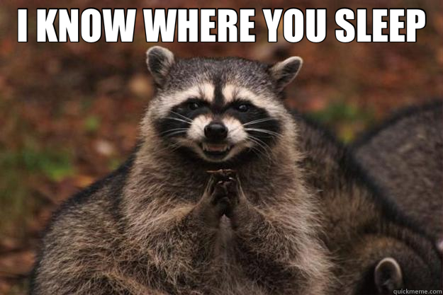 I KNOW WHERE YOU SLEEP  - I KNOW WHERE YOU SLEEP   Evil Plotting Raccoon