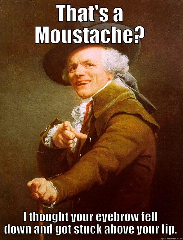 THAT'S A MOUSTACHE? I THOUGHT YOUR EYEBROW FELL DOWN AND GOT STUCK ABOVE YOUR LIP. Joseph Ducreux