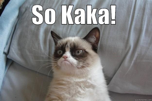 SO KAKA!  Grumpy Cat