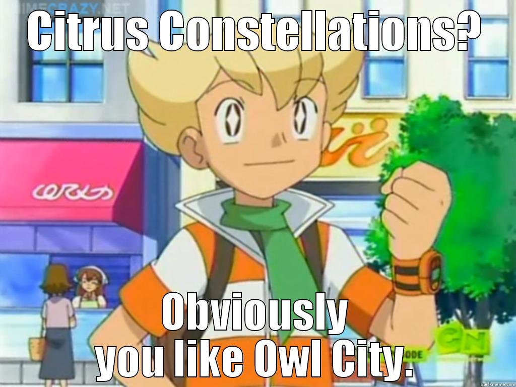 CITRUS CONSTELLATIONS? OBVIOUSLY YOU LIKE OWL CITY. Misc