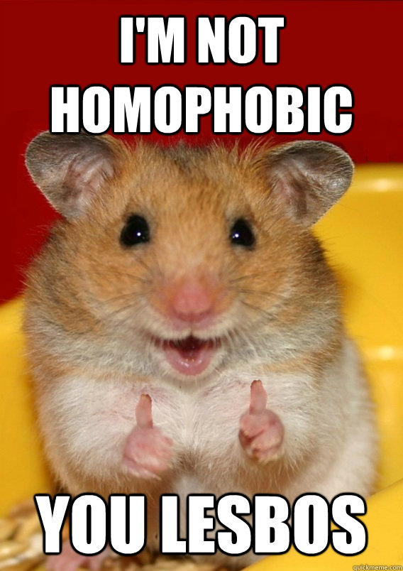 i'm not homophobic you lesbos  - i'm not homophobic you lesbos   Rationalization Hamster