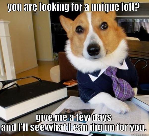 YOU ARE LOOKING FOR A UNIQUE LOFT? GIVE ME A FEW DAYS AND I'LL SEE WHAT I CAN DIG UP FOR YOU. Lawyer Dog