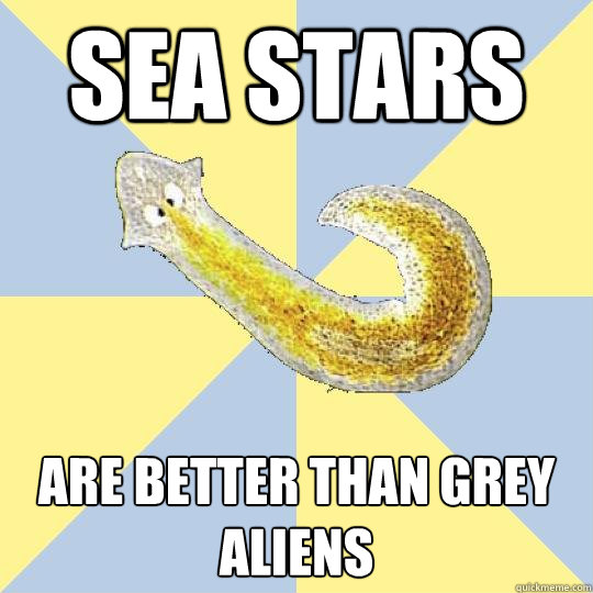 sea stars are better than grey aliens  Bio Major Planarian