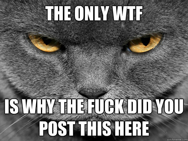 The only WTF  is why the fuck did you
post this here - The only WTF  is why the fuck did you
post this here  Unimpressed Cat