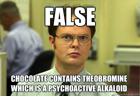 False Chocolate contains theobromine which is a psychoactive alkaloid   Dwight