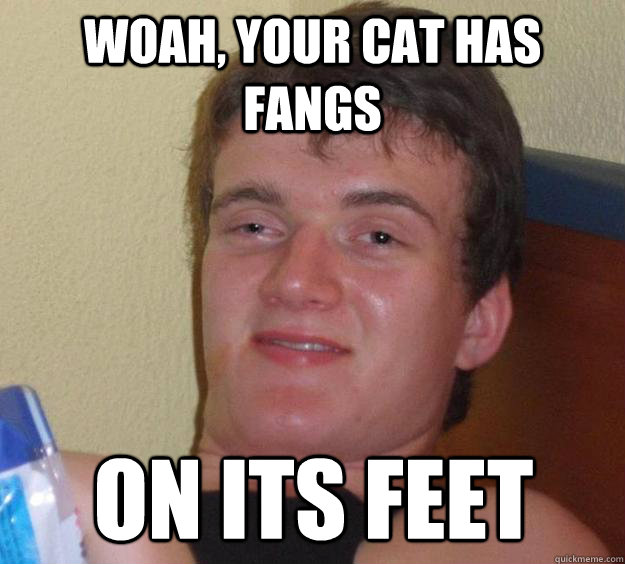 woah, your cat has fangs on its feet - woah, your cat has fangs on its feet  10 Guy