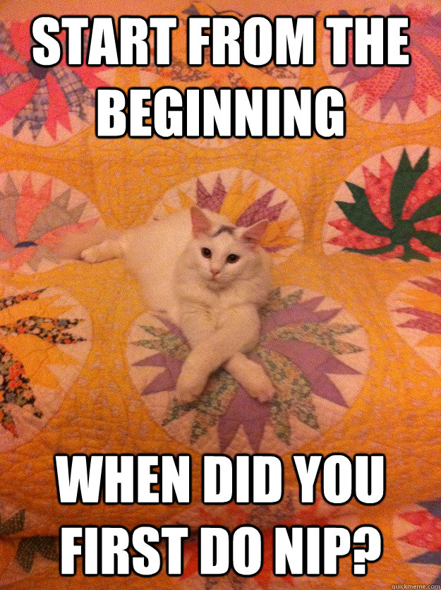 Start from the beginning when did you first do nip?  Psychiatrist Cat