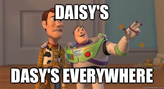 Daisy's Dasy's everywhere - Daisy's Dasy's everywhere  Toy Story Everywhere