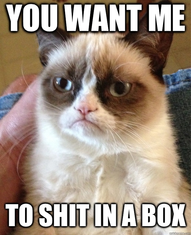 You want me  To shit in a box  Grumpy Cat