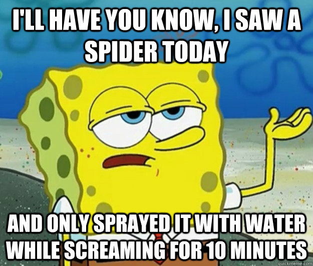 I'll have you know, I saw a spider today And only sprayed it with water while screaming for 10 minutes - I'll have you know, I saw a spider today And only sprayed it with water while screaming for 10 minutes  Tough Spongebob