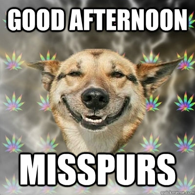 GOOD afternoon MISSPURS - GOOD afternoon MISSPURS  Stoner Dog