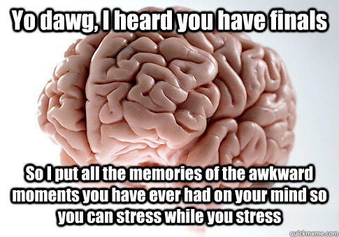 Yo dawg, I heard you have finals So I put all the memories of the awkward moments you have ever had on your mind so you can stress while you stress  Scumbag Brain