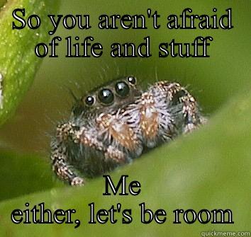 SO YOU AREN'T AFRAID OF LIFE AND STUFF ME EITHER, LET'S BE ROOMMATES  Misunderstood Spider