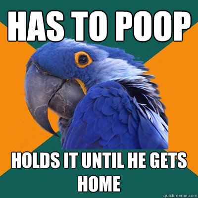 has to poop holds it until he gets home  Paranoid Parrot