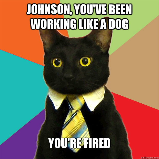 Johnson, you've been working like a dog you're fired   Business Cat