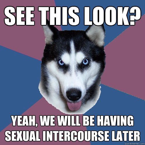 See this look? Yeah, we will be having sexual intercourse later  Creeper Canine