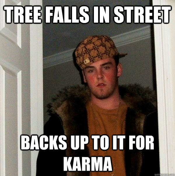 Tree falls in street backs up to it for karma  Scumbag Steve