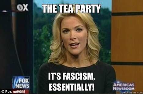 The Tea Party It's fascism,
Essentially!  Megyn Kelly