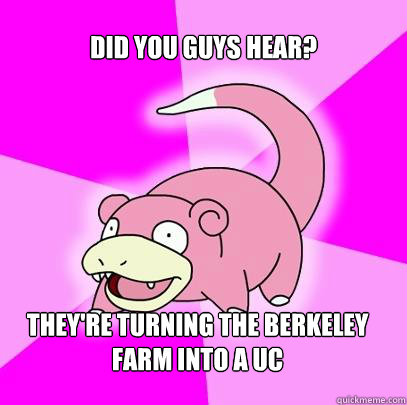 did you guys hear? They're turning The berkeley farm into a UC  Slowpoke