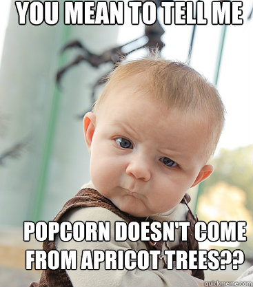 You mean to tell me Popcorn doesn't come from apricot trees?? - You mean to tell me Popcorn doesn't come from apricot trees??  Misc